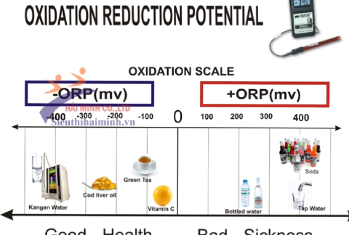 Đo độ oxy hóa khử ORP với máy đo pH Hanna HI2211-02
