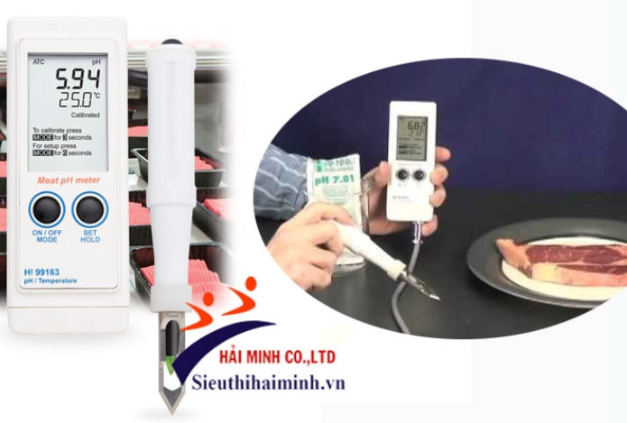 Các loại điện cực của máy đo pH hanna HI99163