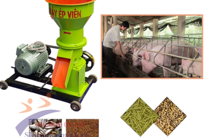 Bà Con Nói Gì Khi Sử Dụng Máy Làm Cám Viên 1pha As200