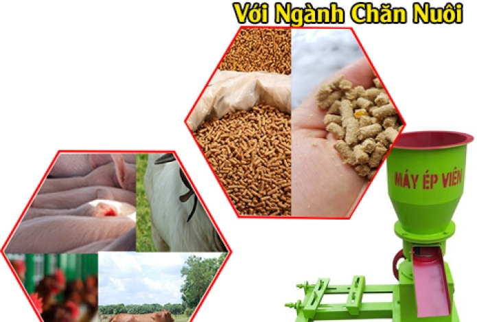 Lợi Ích Của Máy Ép Cám Viên Với Ngành Chăn Nuôi