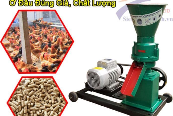 Mua Máy Ép Cám Viên Ở Đâu Đúng Giá, Chất Lượng