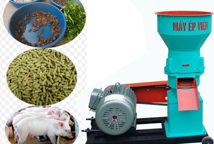 Mua Ngay Máy Ép Cám Viên Trục Đứng Hms270 Tại Hải Minh