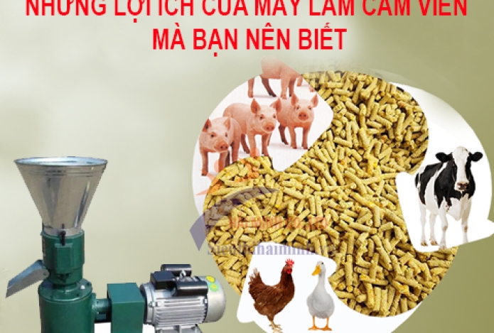 Những Lợi Ích Của Máy Làm Cám Viên Mà Bạn Nên Biết