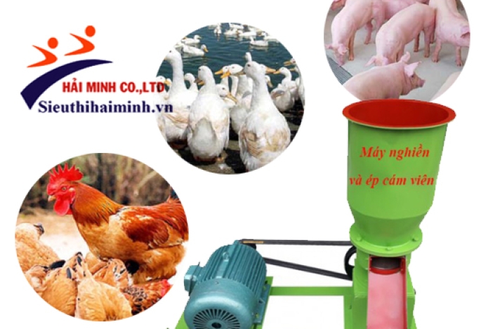 Nơi bán máy ép cám viên uy tín, giá rẻ tại Hà Nội
