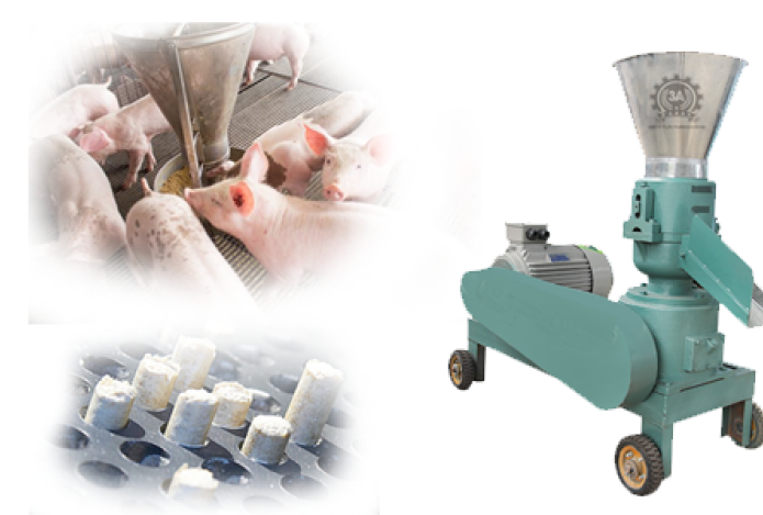 Một số ưu điểm nổi bật của máy ép cám viên trục ngang HMV - 02