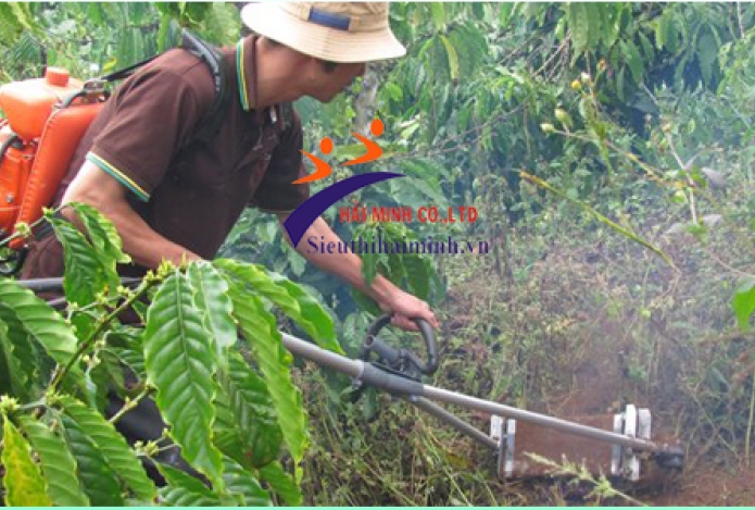 Bán máy xạc cỏ giá rẻ tại Hồ Chí Minh