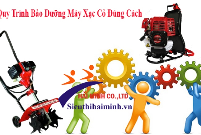 Quy Trình Bảo Dưỡng Máy Xạc Cỏ Đúng Cách