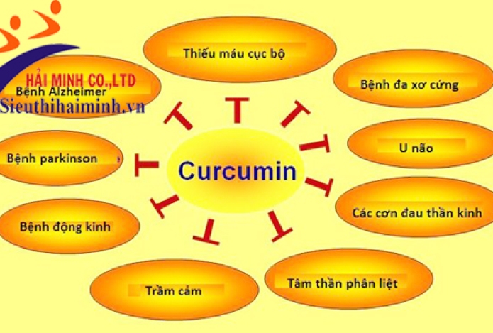 Cấu tạo và công dụng của máy xay nghệ