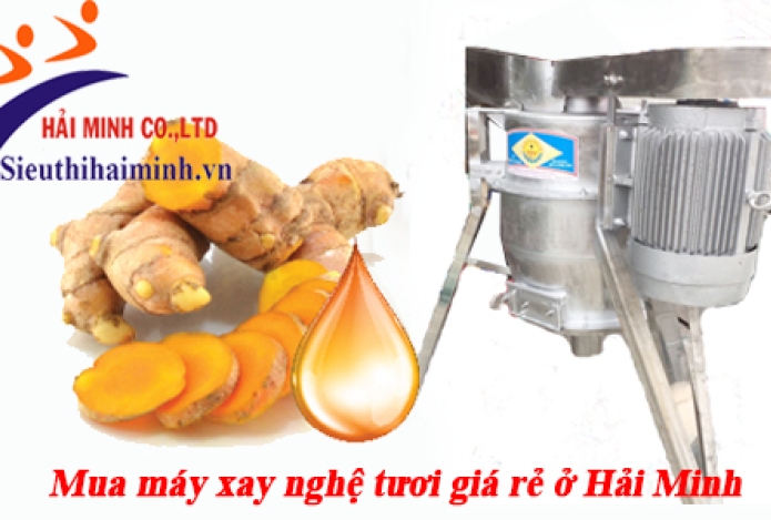 Mua máy xay nghệ giá rẻ chất lượng cao tại Hải Minh