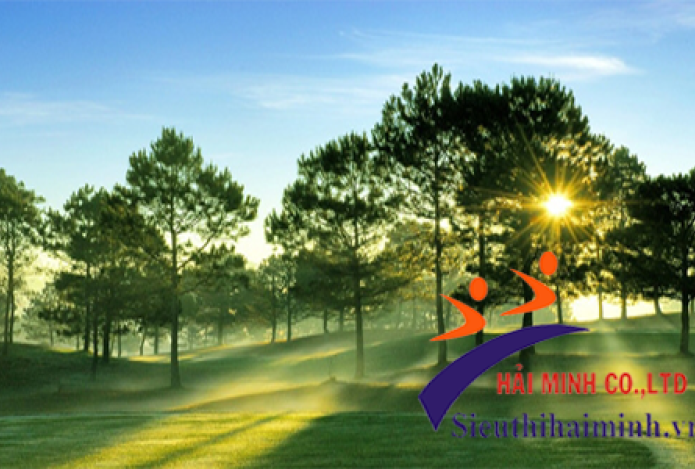 Tác dụng của máy đo nhiệt độ không khí với cuộc sống con người