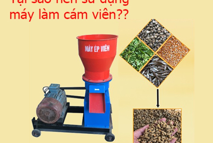 Tại sao các trang trại đều sử dụng máy làm cám viên chăn nuôi?