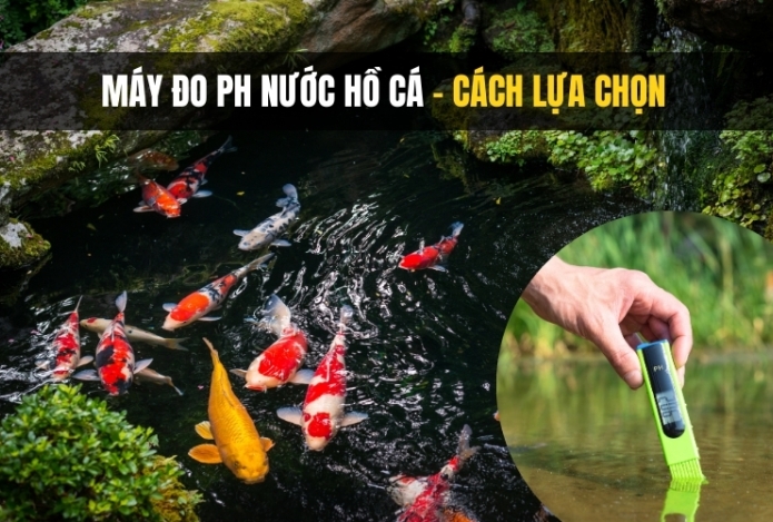 Máy đo PH nước hồ cá - cách lựa chọn