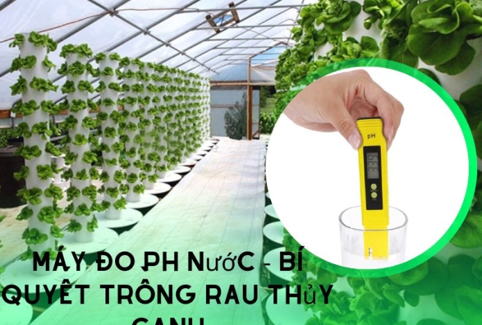 Máy đo pH nước – bí quyết giúp dung dịch thủy canh luôn chất lượng