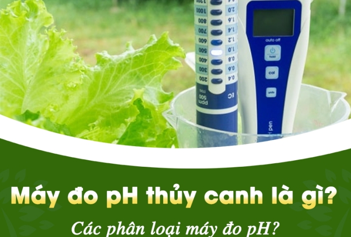 Máy đo pH thủy canh là gì? Cách phân loại máy đo pH