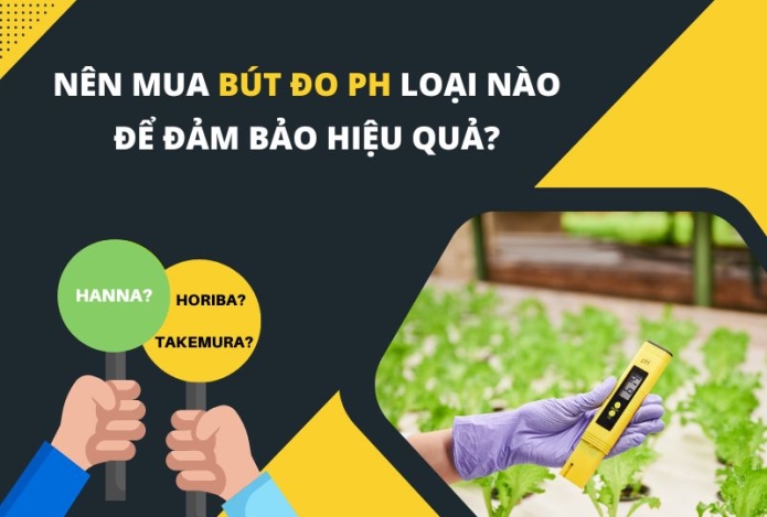 Nên mua bút đo pH loại nào để đảm bảo hiệu quả?