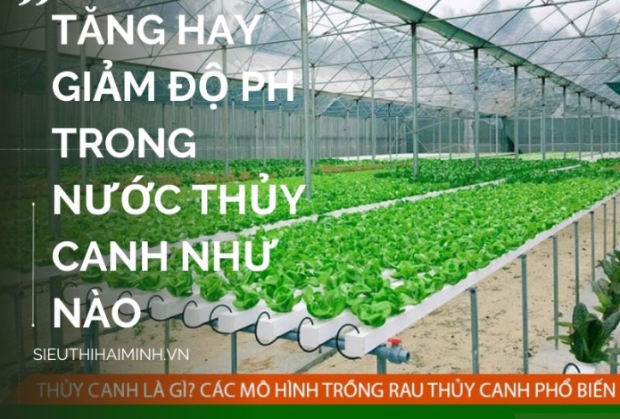 Làm thế nào để tăng hay giảm độ pH trong nước thủy canh
