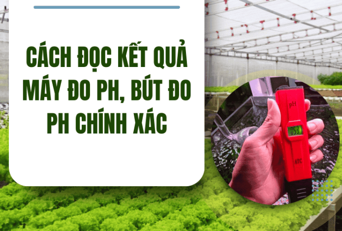 Cách Đọc Kết Quả Máy Đo PH, Bút Đo PH Chính Xác