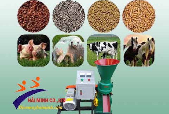 9 Lý Do Bạn Nên Chọn Mua Máy Ép Cám Viên Ngay Hôm Nay?