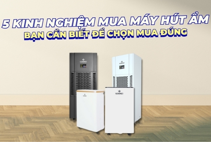 5 Kinh Nghiệm Mua Máy Hút Ẩm Bạn Cần Biết Để Chọn Mua Đúng