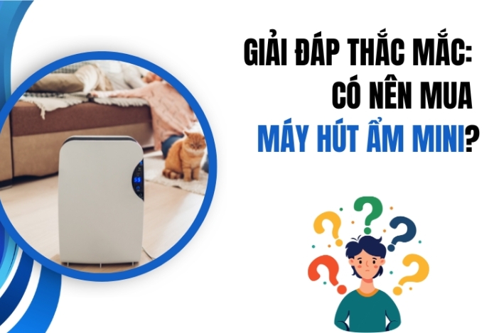 Giải Đáp Thắc Mắc: Có Nên Mua Máy Hút Ẩm Mini?