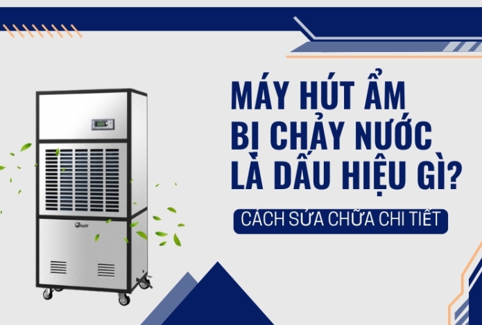 Máy Hút Ẩm Bị Chảy Nước Là Dấu Hiệu Gì? Cách Sửa Chữa Chi Tiết