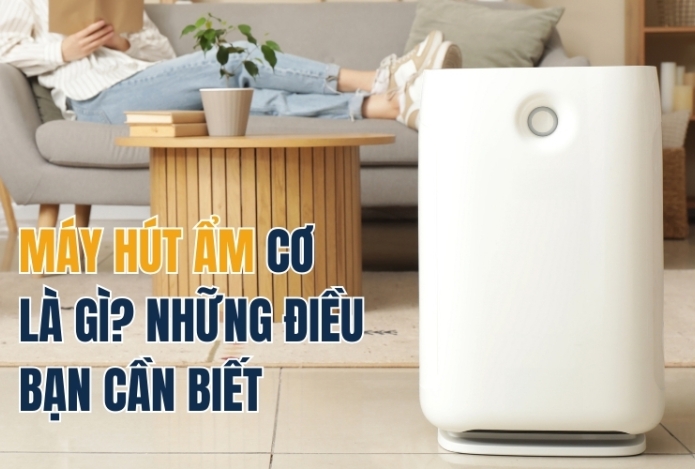 Máy Hút Ẩm Cơ Là Gì? Những Điều Bạn Cần Biết