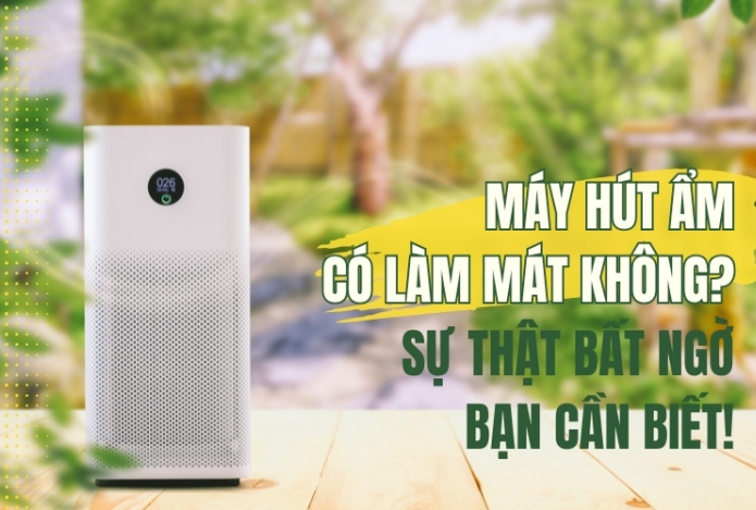 Máy Hút Ẩm Có Làm Mát Không? Sự Thật Bất Ngờ Bạn Cần Biết