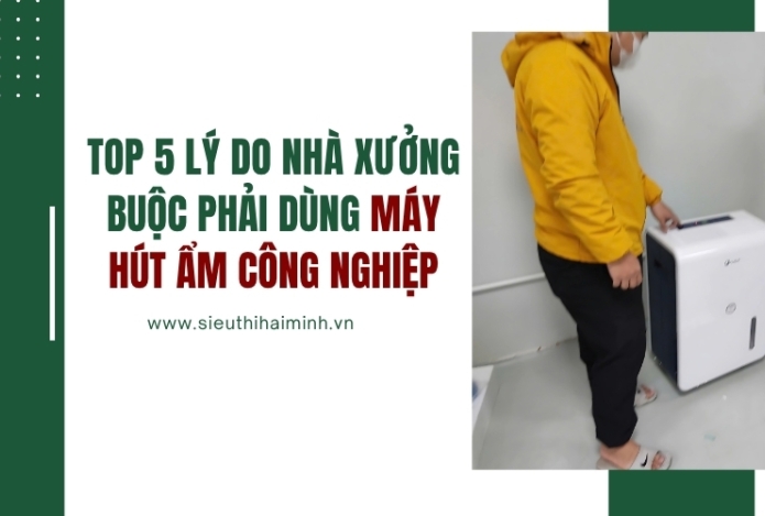 Top 5 lý do nhà xưởng buộc phải dùng máy hút ẩm công nghiệp