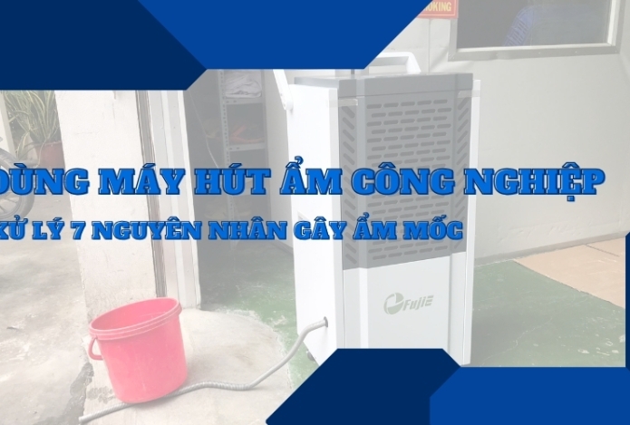Dùng máy hút ẩm công nghiệp xử lý 7 nguyên nhân gây ẩm mốc