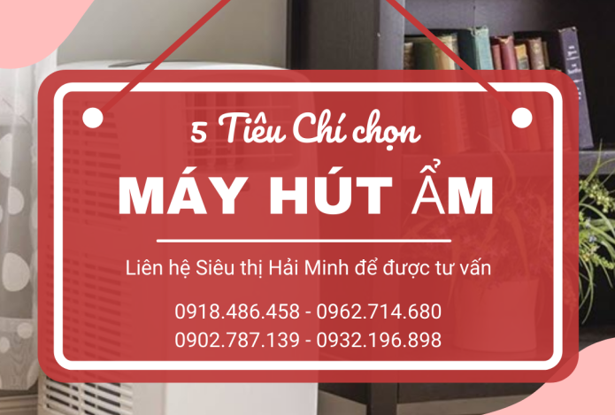 Những Tiêu Chí Để Chọn Mua Máy Hút Ẩm Chất Lượng, Hiệu Quả