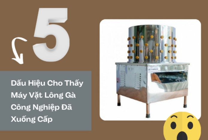 5 Dấu Hiệu Cho Thấy Máy Vặt Lông Gà Công Nghiệp Đã Xuống Cấp