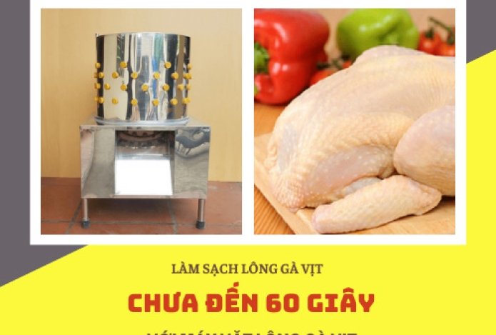 Làm Sạch Lông Gà Vịt Chưa Đến 60 Giây Với Máy Nhổ Lông Gà Vịt
