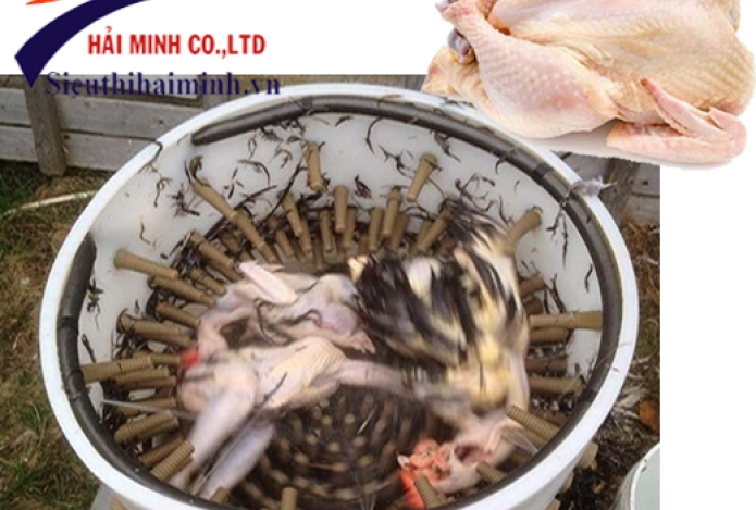 Những điều cần biết về máy vặt lông gà chính hãng