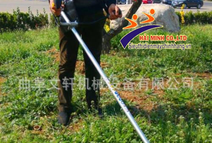 Hướng dẫn chọn mua máy cắt cỏ cầm tay chất lượng