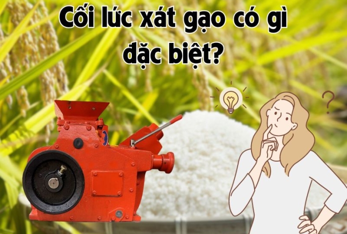 Cối lức xát gạo có gì đặc biệt? Mua ở đâu?