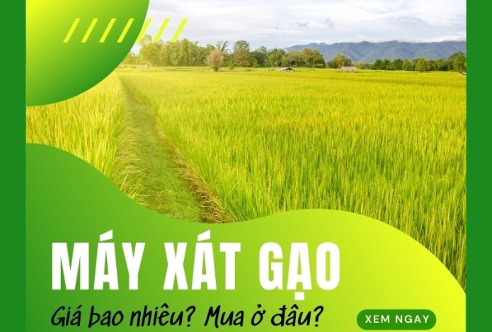 Máy xay xát gạo liên hoàn giá bao nhiêu? Mua ở đâu?
