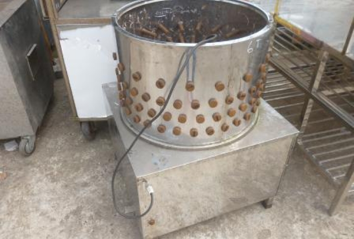 Máy vặt lông gà và những loại máy phổ biến?