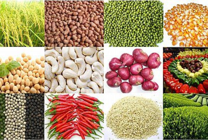 Hướng dẫn sử dụng máy đo độ ẩm nông sản HMMC-7825G