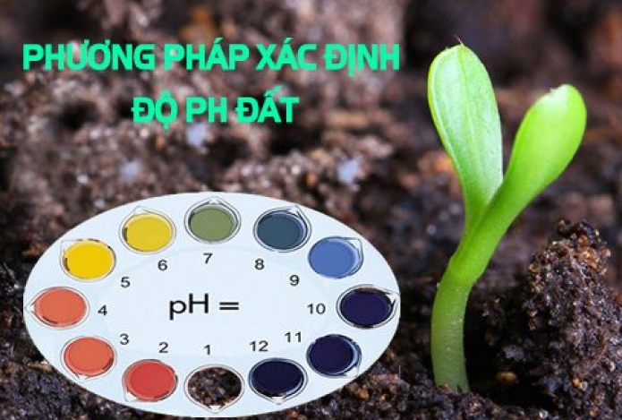 Phương pháp xác định độ pH đất bà con nên tham khảo