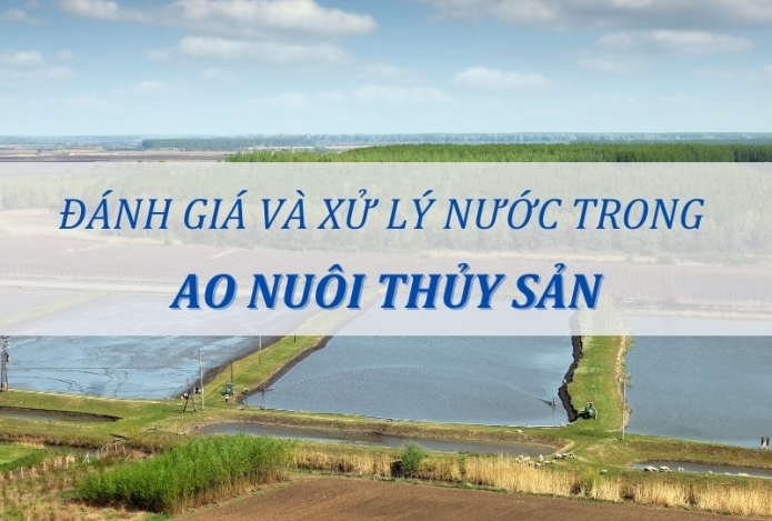 Đánh giá và xử lý nước trong ao nuôi thủy sản