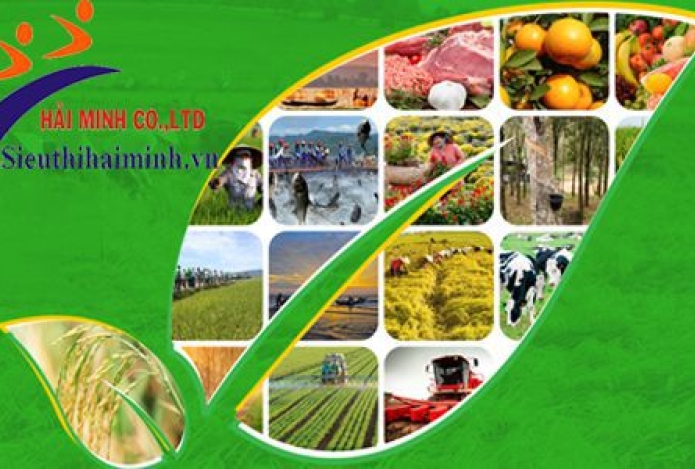 SIÊU THỊ HẢI MINH CUNG CẤP MÁY NÔNG NGHIỆP CHẤT LƯỢNG NHẤT