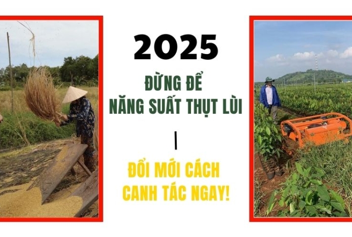 2025 đừng để năng suất thụt lùi - Đổi mới cách canh tác ngay!