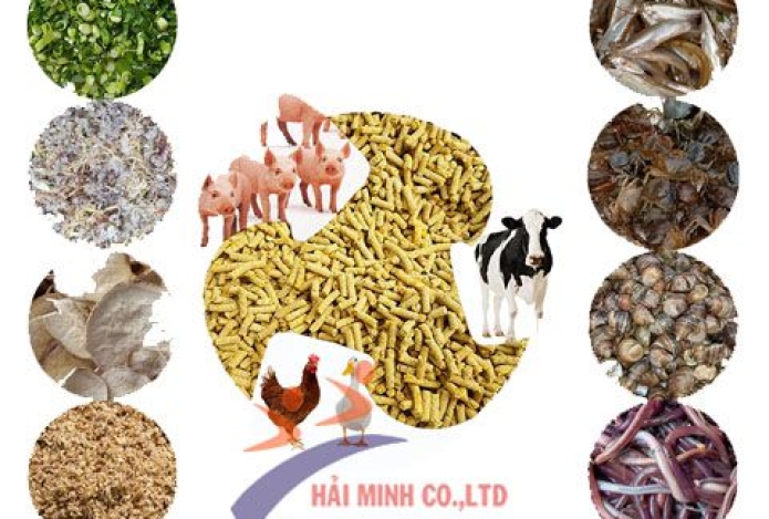 [CHIA SẺ] Cách trộn nguyên liệu khi sử dụng máy ép cám viên