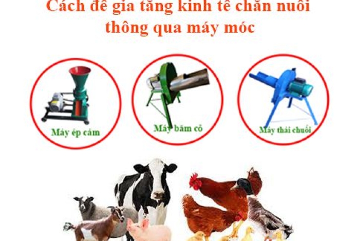 4 cách để gia tăng kinh tế chăn nuôi thông qua máy móc