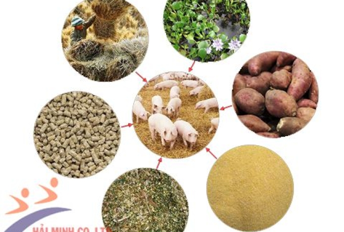 Máy Ép Cám Viên Giải Pháp Khắc Phục Bài Toán Lãi Suất Chăn Nuôi