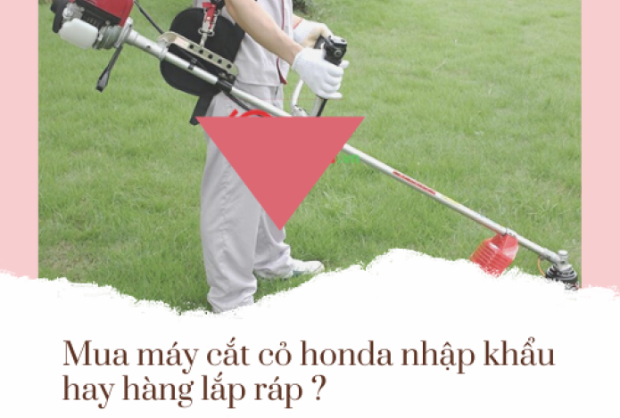 Nên mua máy cắt cỏ Honda nhập khẩu hay lắp ráp?