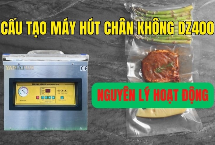 Cấu tạo máy hút chân không DZ400 và nguyên lý hoạt động