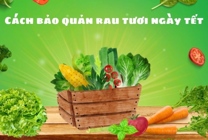 Mẹo bảo quản rau xanh tươi ngon suốt mùa Tết