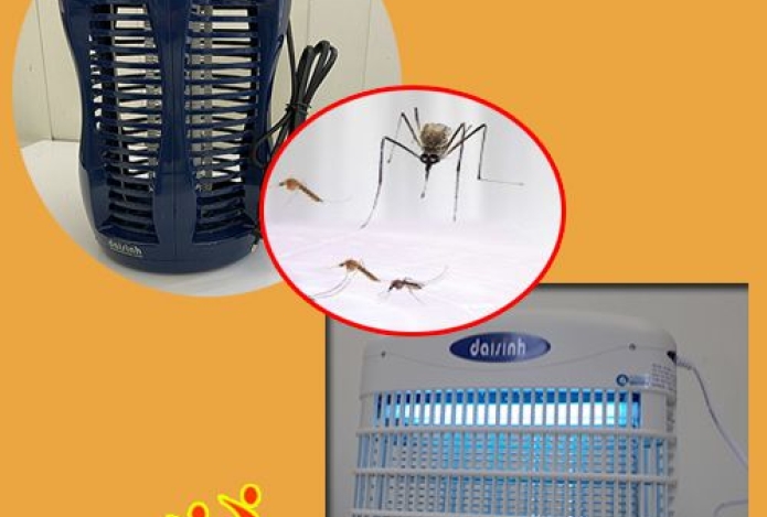 Bảo vệ bản thân khỏi muỗi, côn trùng không sử dụng hóa chất có hại