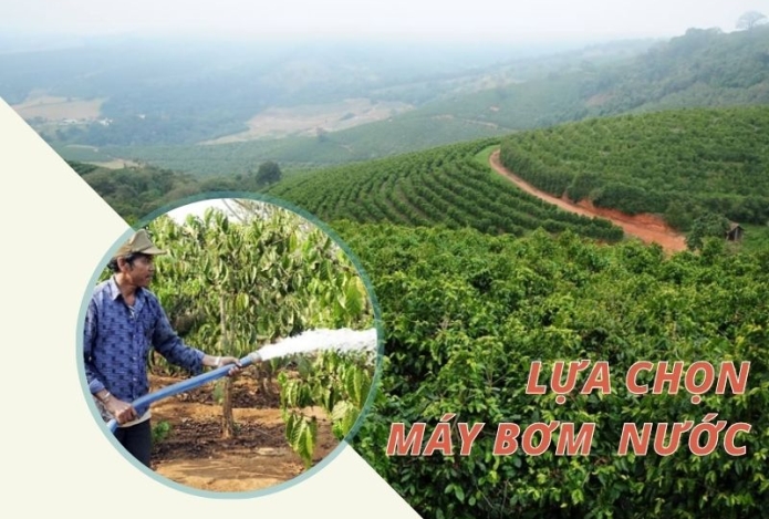 Điểm danh 3 máy bơm tưới tốt nhất cho bà con năm 2023